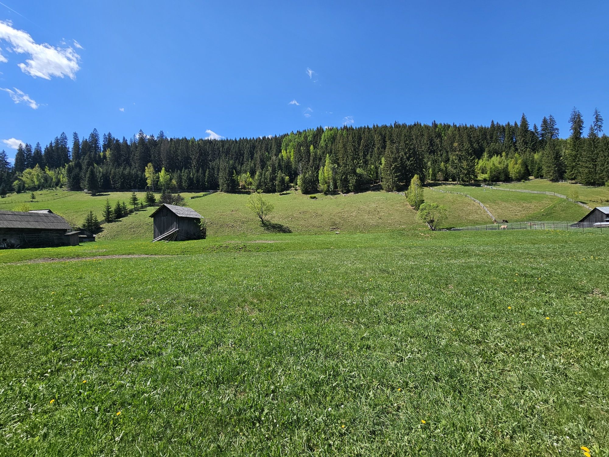 Teren de vanzare in Bucovina zona Pojorata pe Transrarau