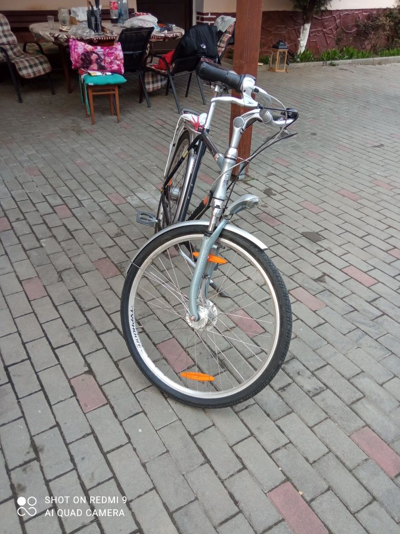 Bicicleta olandeza.