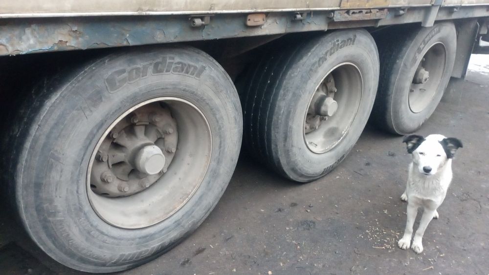 Продам оси полуприцеп