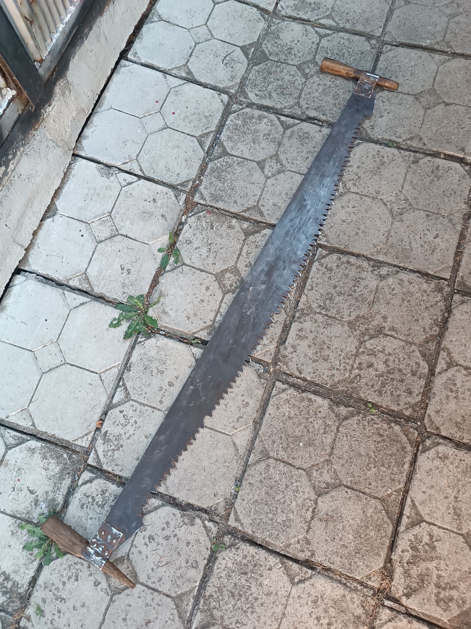 Стара джага  над,100години