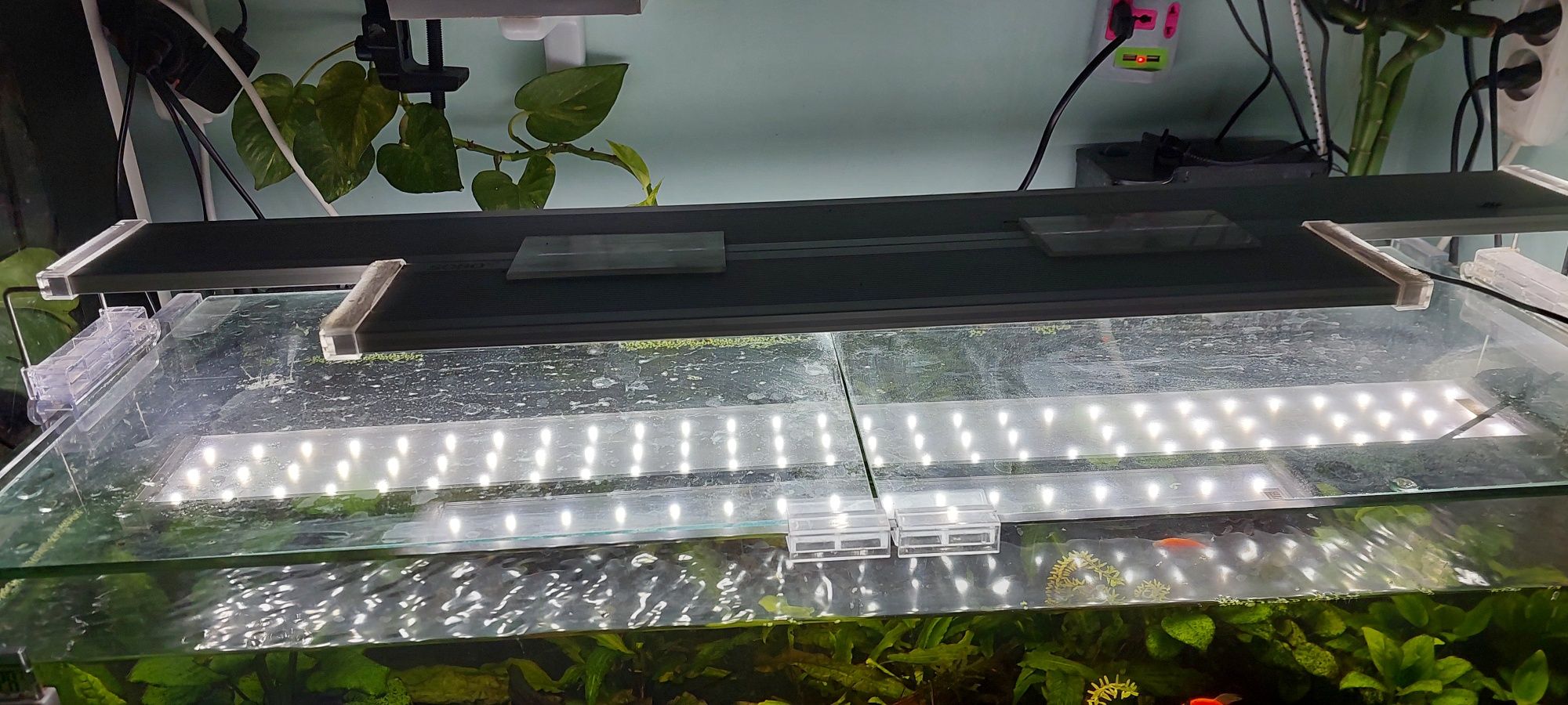 Akvarium sotiladi.