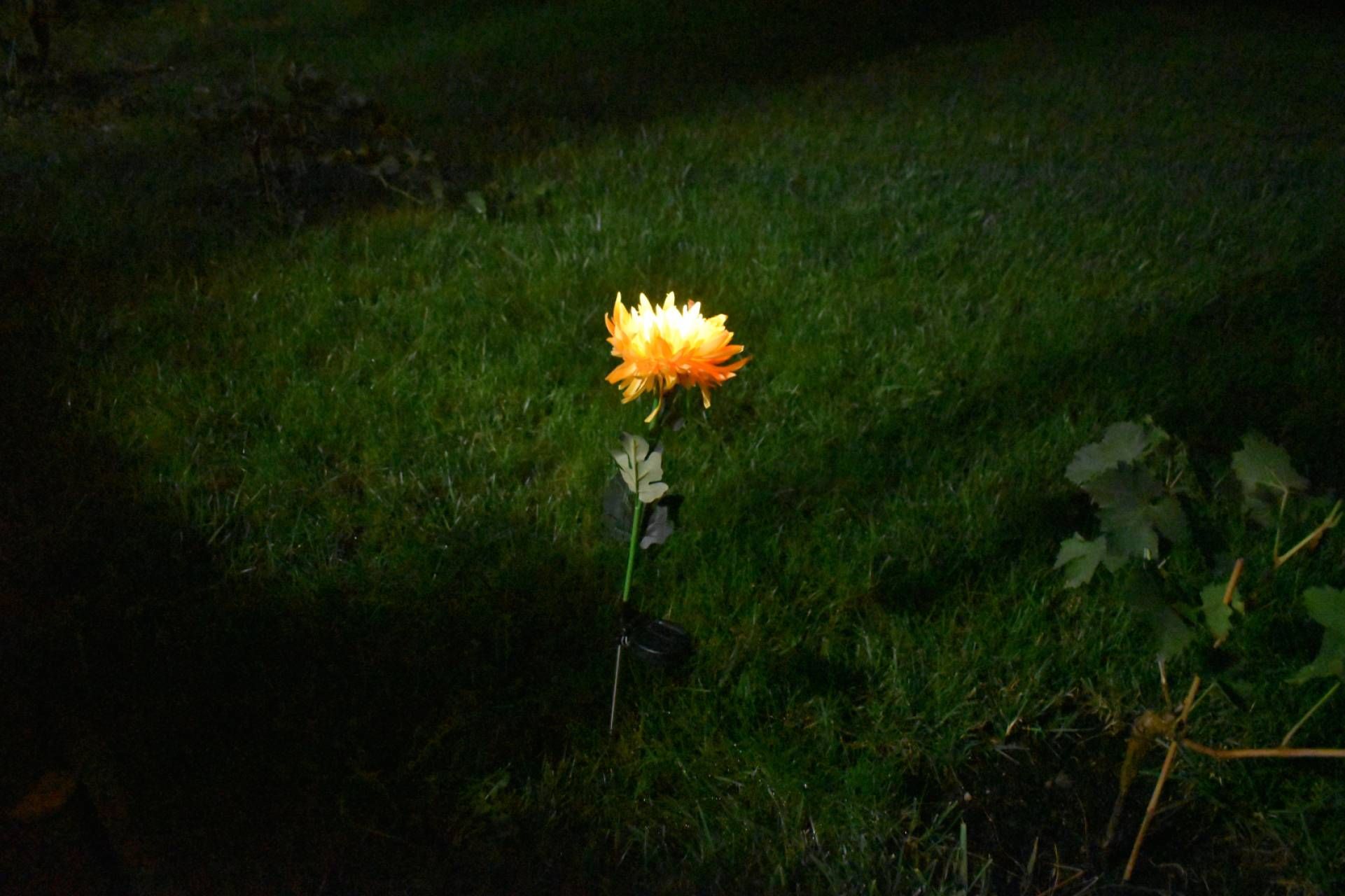 Lampi solare decorative de gradina tip floarea Crizantema galbena
