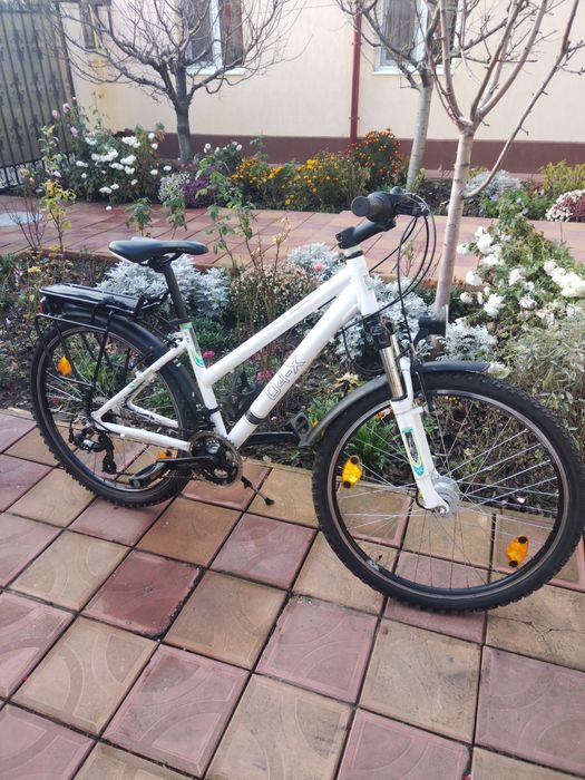 Biciclete preț, 290 roni