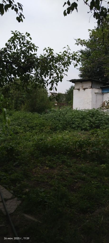 Продам срочно дом коктюбе 1