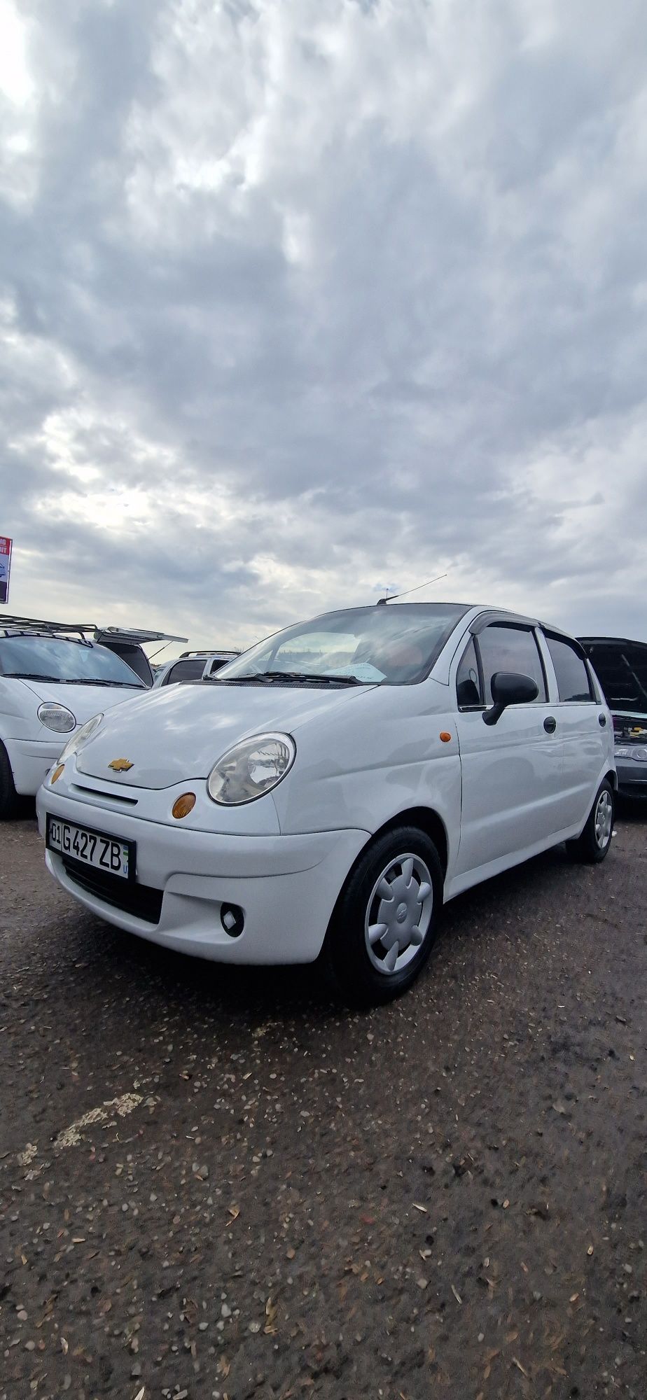 Matiz sotilati 3100