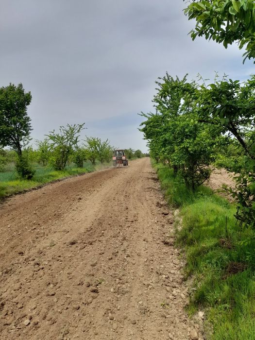 10 gektar bog' mevali olma olcha olhori bog'