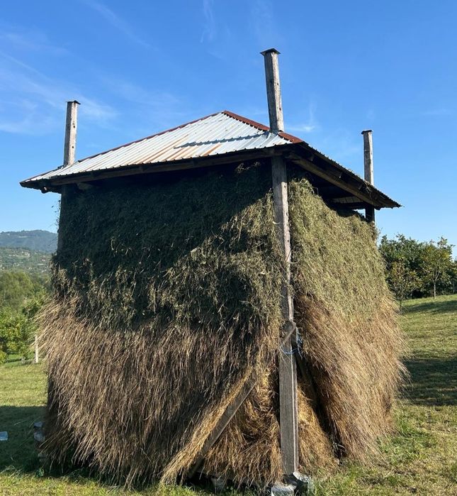 Vând oborog de fân