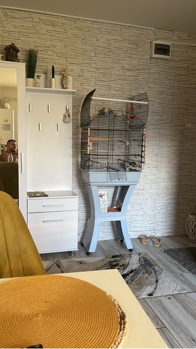 Colivie papagali mare