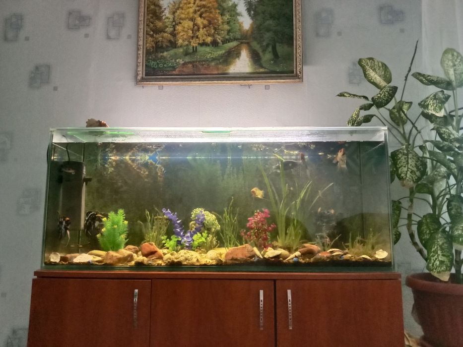 Продам аквариум  с рыбками