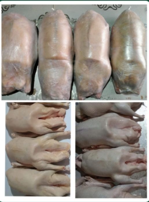 Продам тушки гуся.