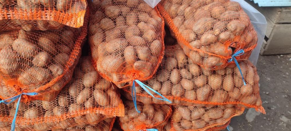 Cartofi consum alb ultra si Esme rosu