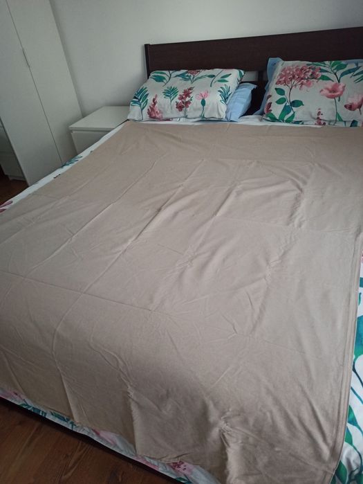 Plapuma de pene de gâscă