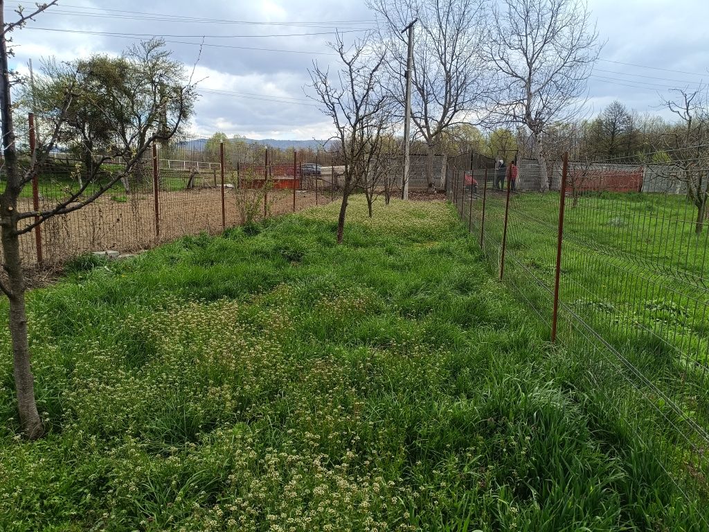 Teren intravilan 2400mp Tătărani Dâmbovița