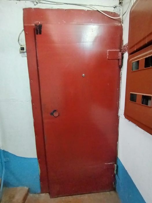 Входная дверь железный и деревянный