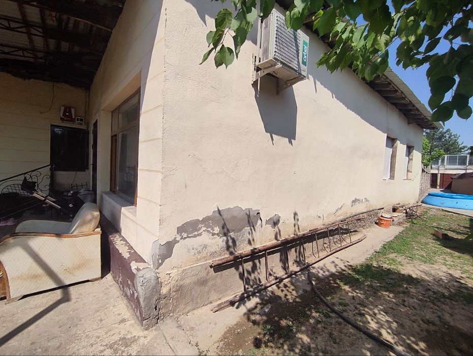 Towken wahri mirzo ulugbek