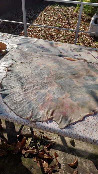 Vand dobe de sarbatori din piele de vitel