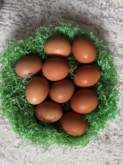 Продам свежие домашние яйца