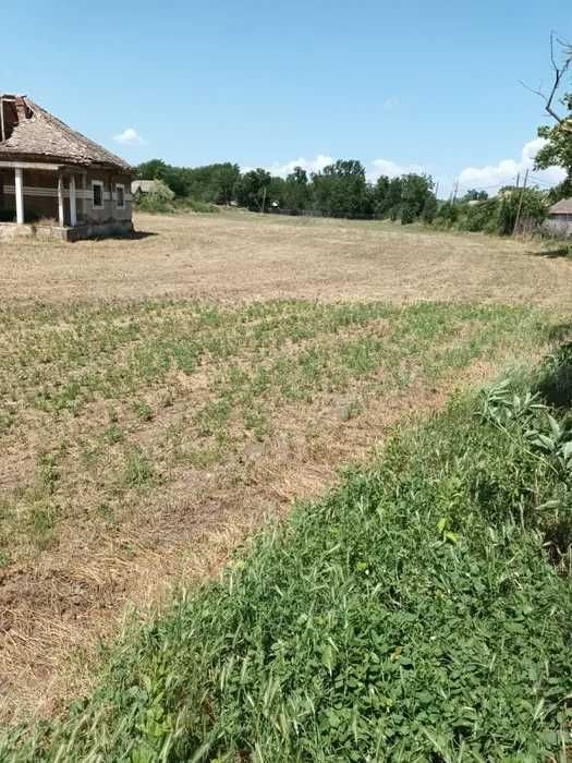Plenita - Casa demolabila cu 1600m2 curte + 5500m2 teren arabil