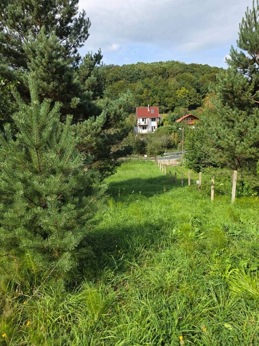 Vând teren Cluj - Feleacu - Valea Caprioarei