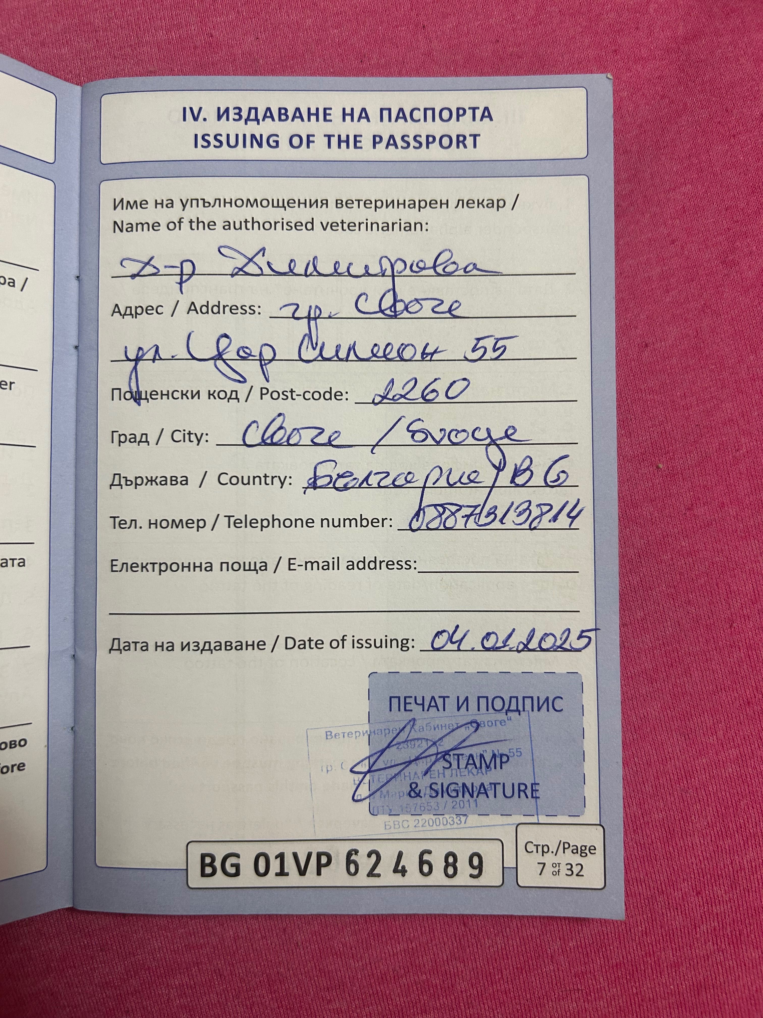 Продавам женско куче породата и е между чихуа хуа и пинчер