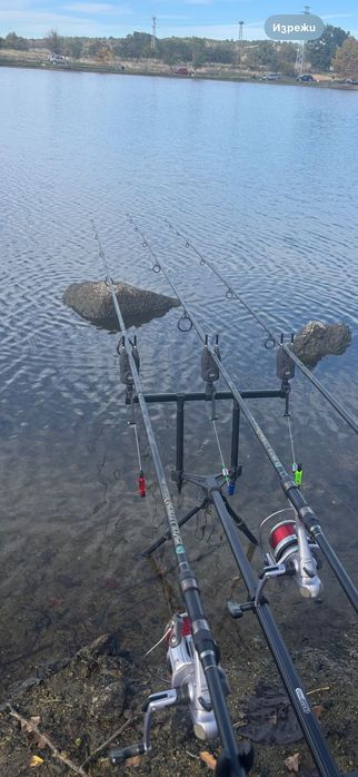 Продавам Макари Daiva