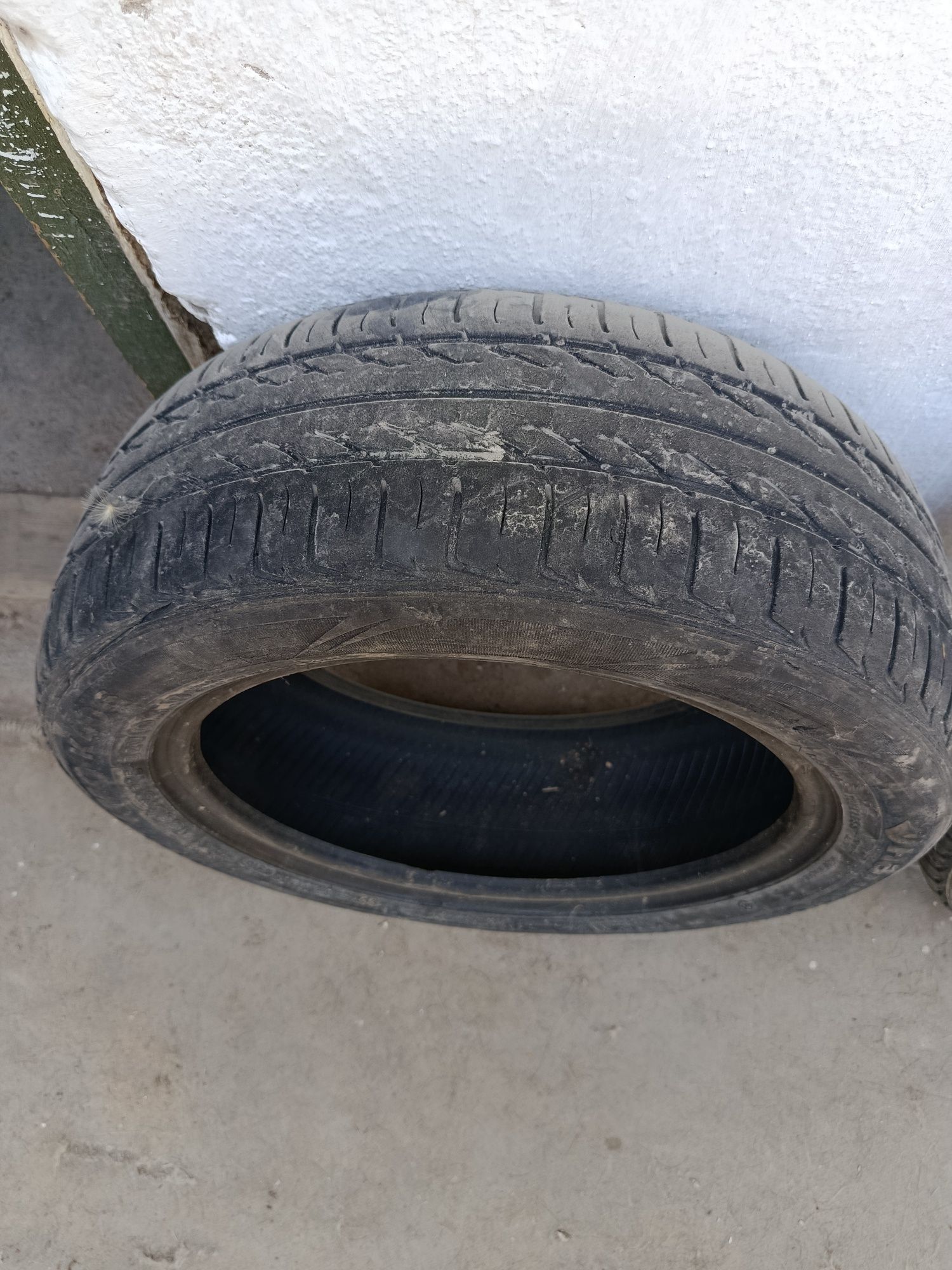 Balon xankok optima