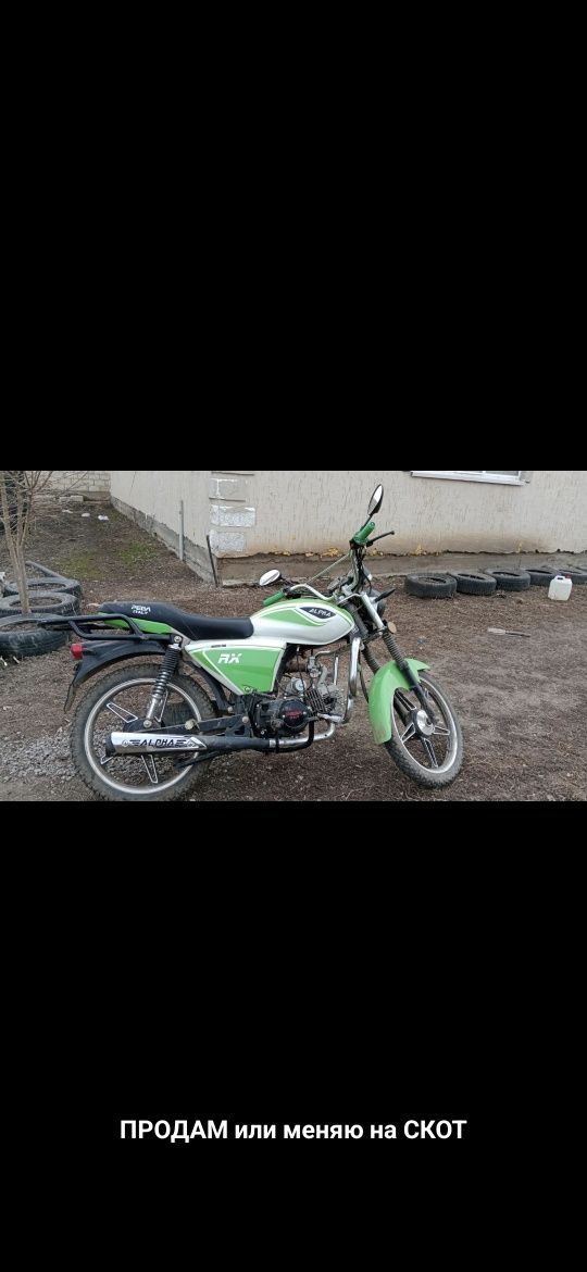 Продаётся Альфа рх