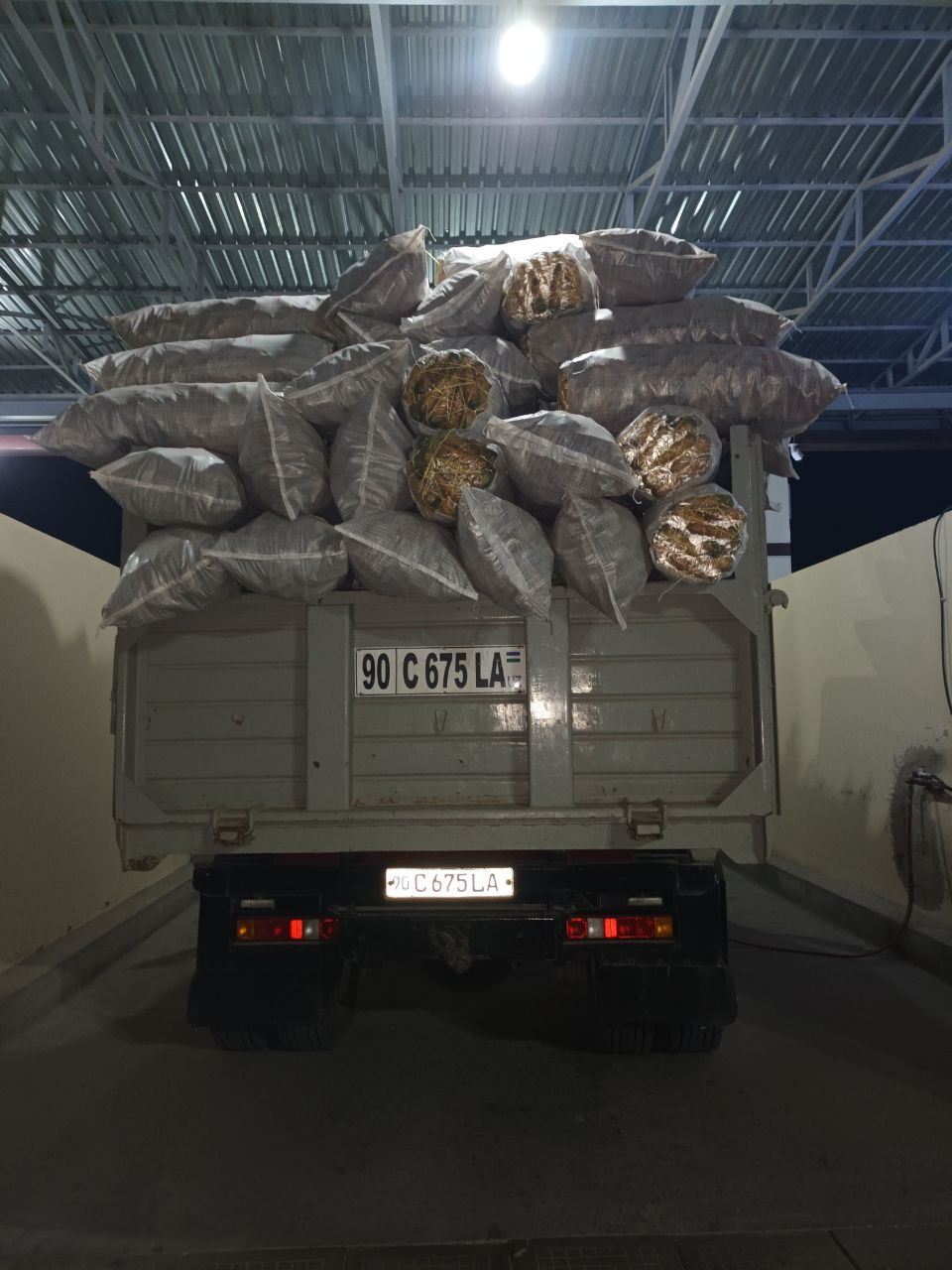 BICHOQ ZIL 433362 .