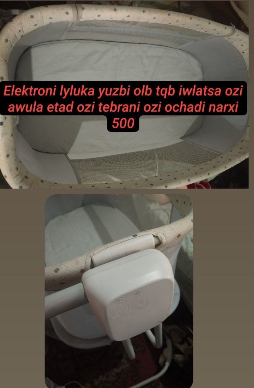 Elektroni lulyka
