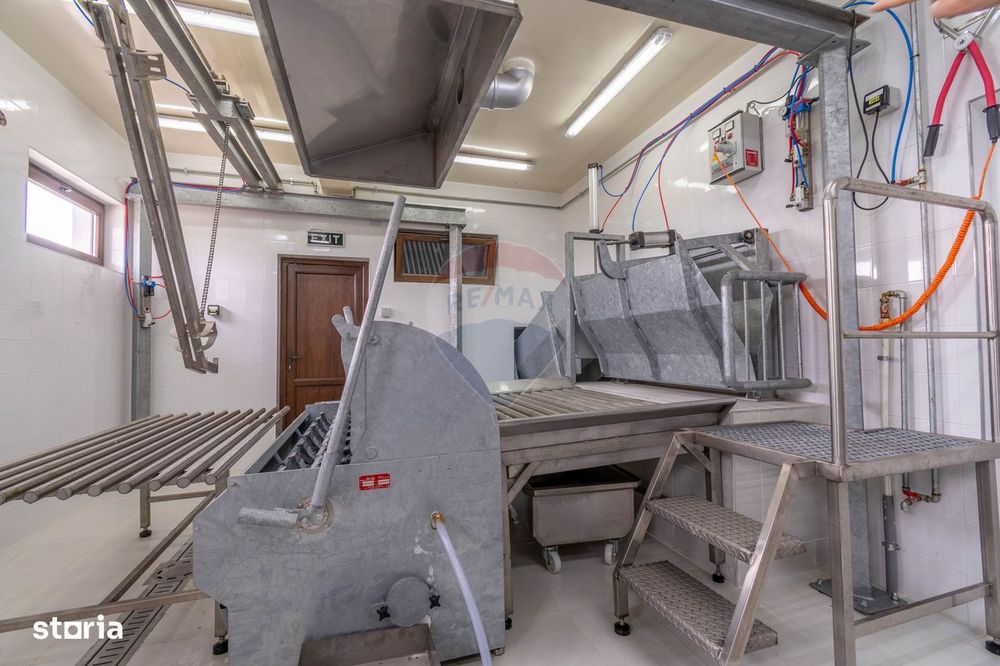 Ferma moderna de porci de vanzare in Curtuiusu Dejului