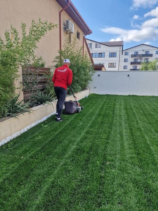 Gazon rulouri OFERIM MONTAJ