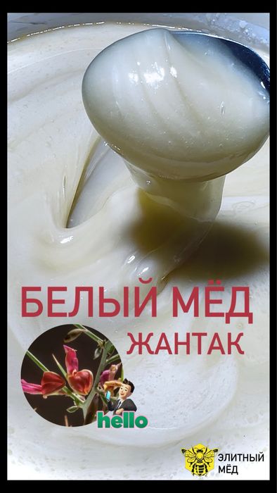 Мёд белый натуральный оптом