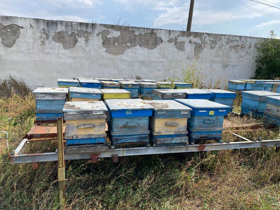 Пчеларски платформи за подвижно пчеларство