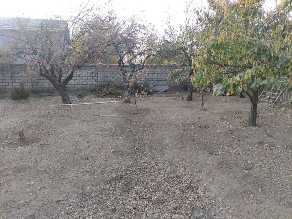 Yangi Oʻzbekiston bogʻiga yaqin joyda yer!