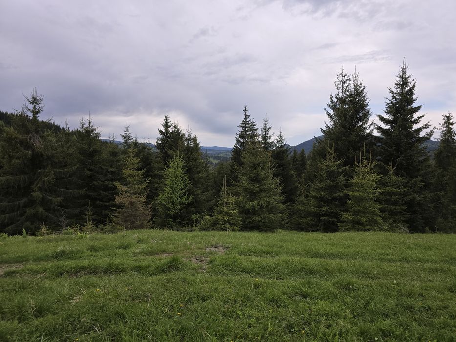 Teren extravilan 164900 MP