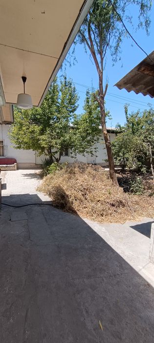 Сельхоз институт 5 сот