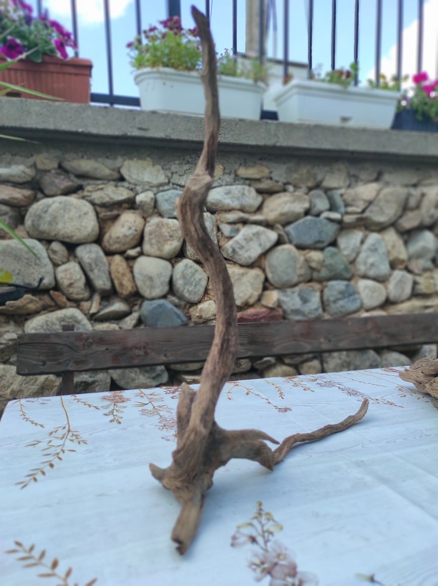 Корени за аквариум