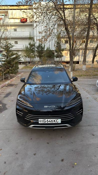 Song plus Chempion Uz-pride Dm-i