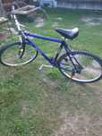 Bicicleta adulti