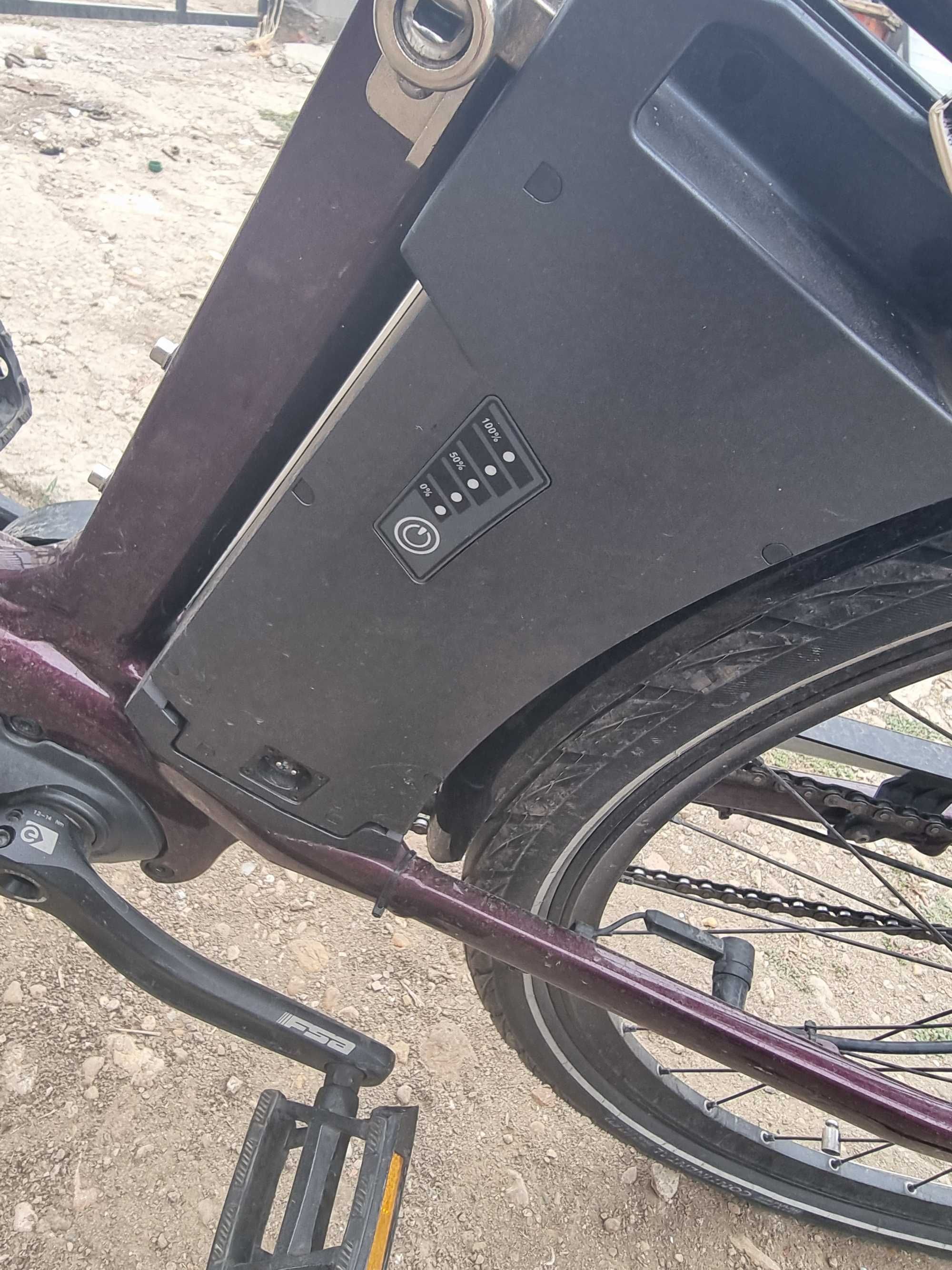 Електрически велосипед модел Pegasus Solero EVO 9