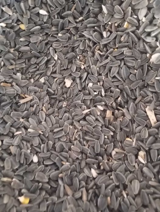 Vanzării Furaj Animale și Cereale