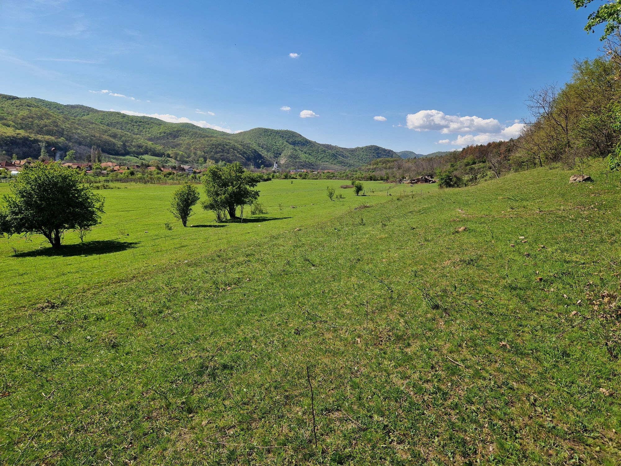 Teren de vanzare. 5000mp