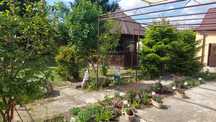 Vand casa Mandruloc