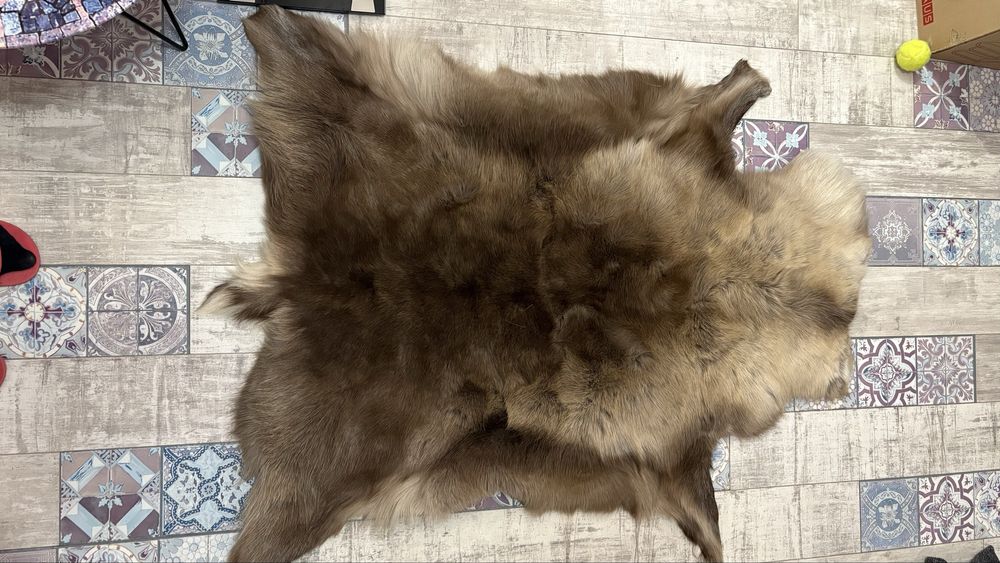 Естествена кожа от северен елен нова