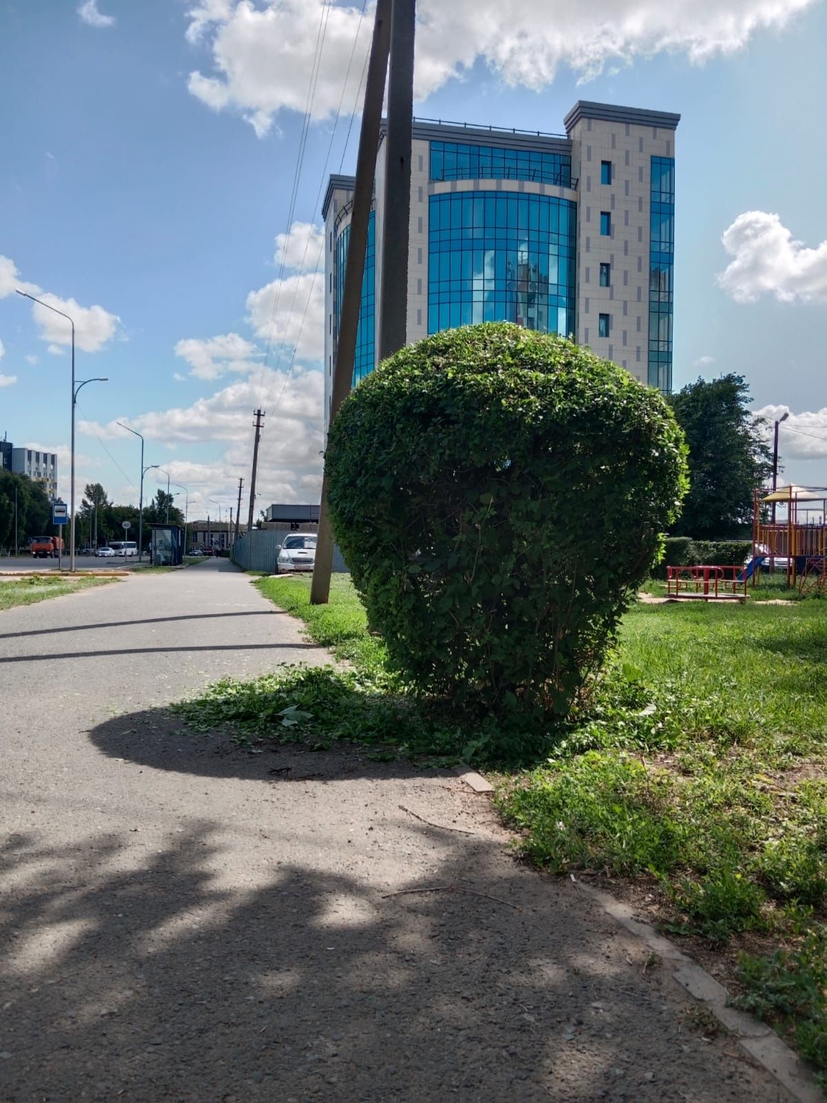Формовка кустов деревьев и так далее