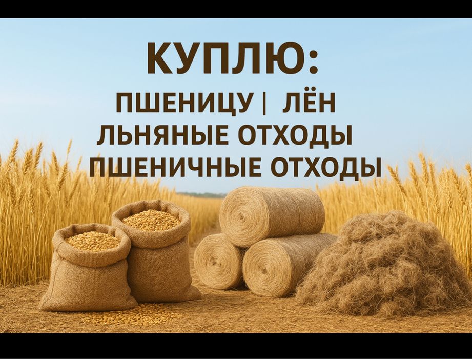 Принимaю пшеницу