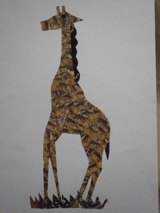 Серия картини, направени от крила на пеперуда