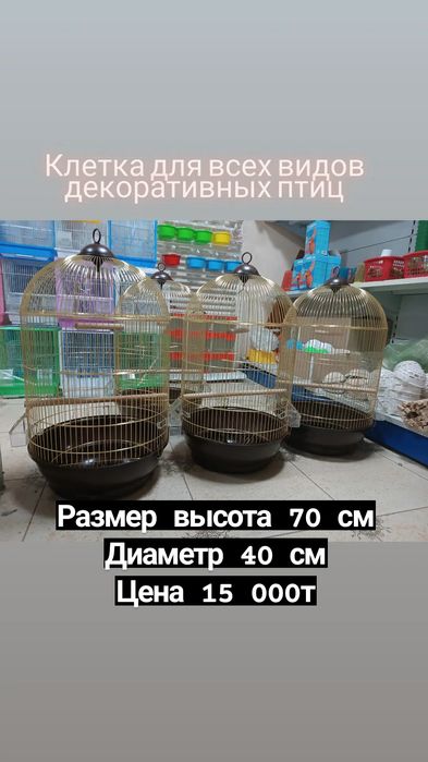 Клетки для птиц овальная