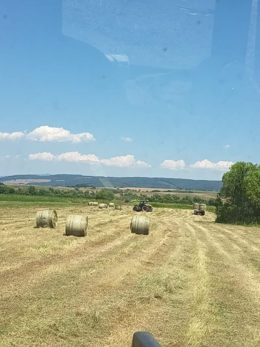 Baloți de fân bio