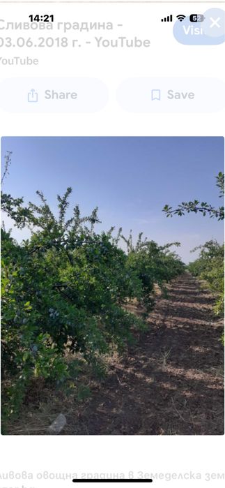 Подарявам дърва от сливова градина